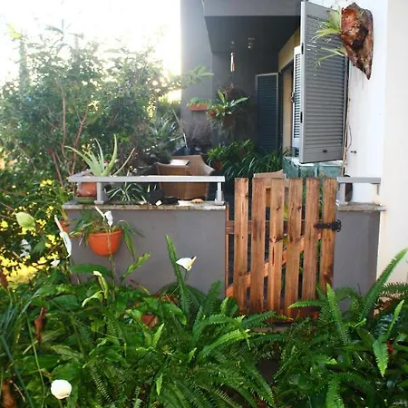 Rochas Shared Garden Refuge Séjour chez l'habitant Funchal (Madeira)