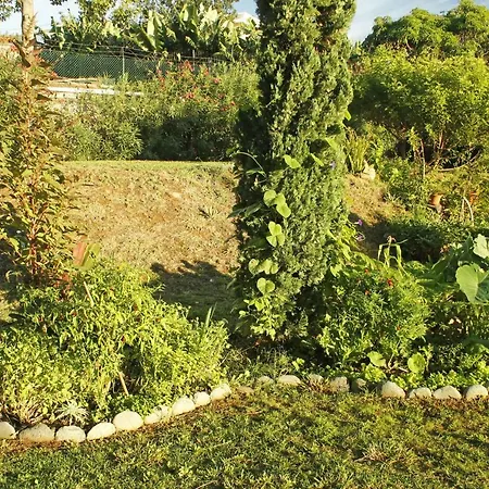 Séjour chez l'habitant Rochas Shared Garden Refuge *